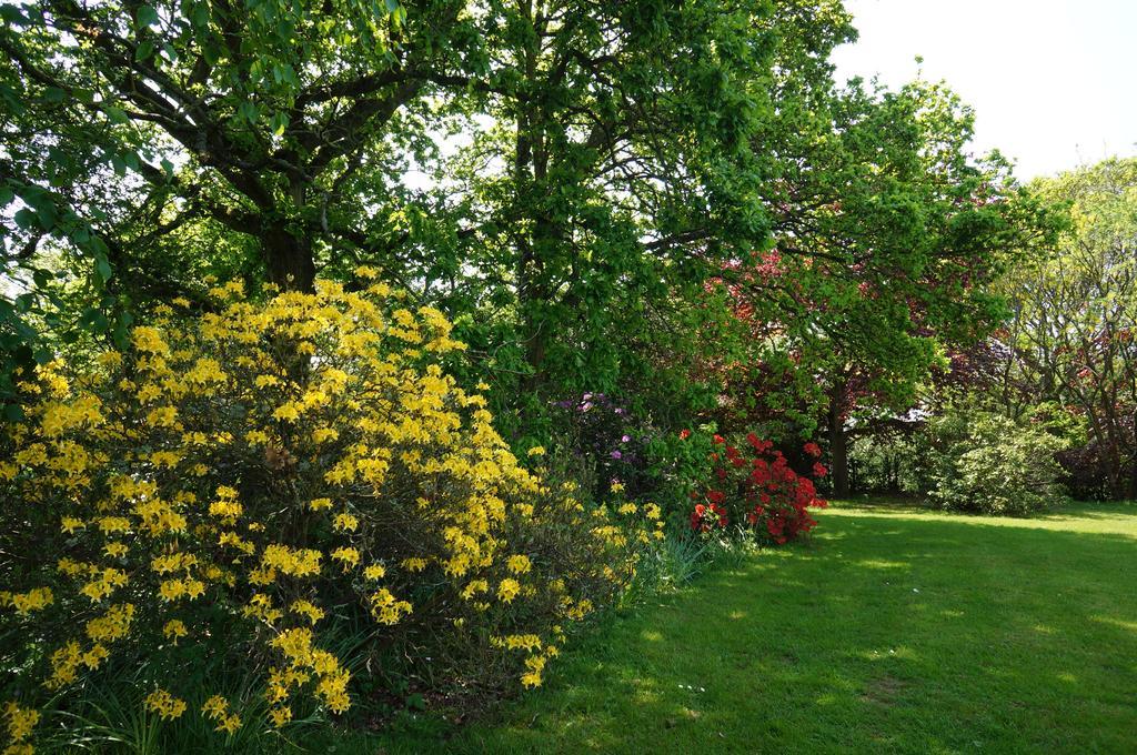 Leyland Country House Lymington Esterno foto