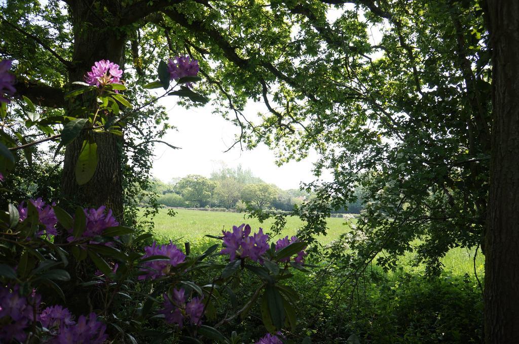 Leyland Country House Lymington Esterno foto