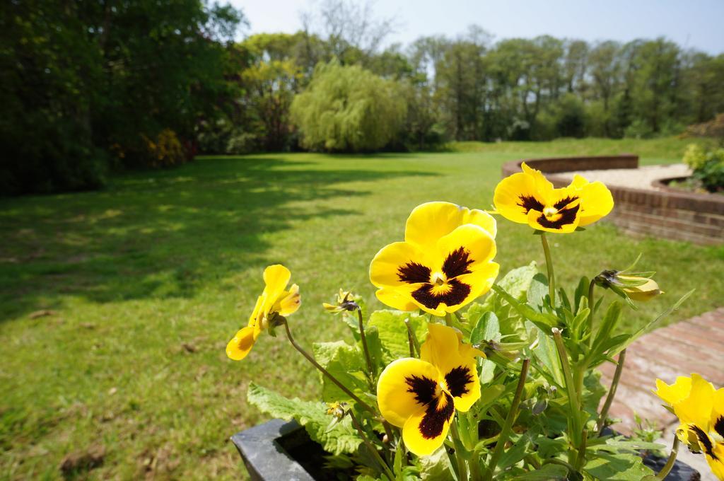 Leyland Country House Lymington Esterno foto