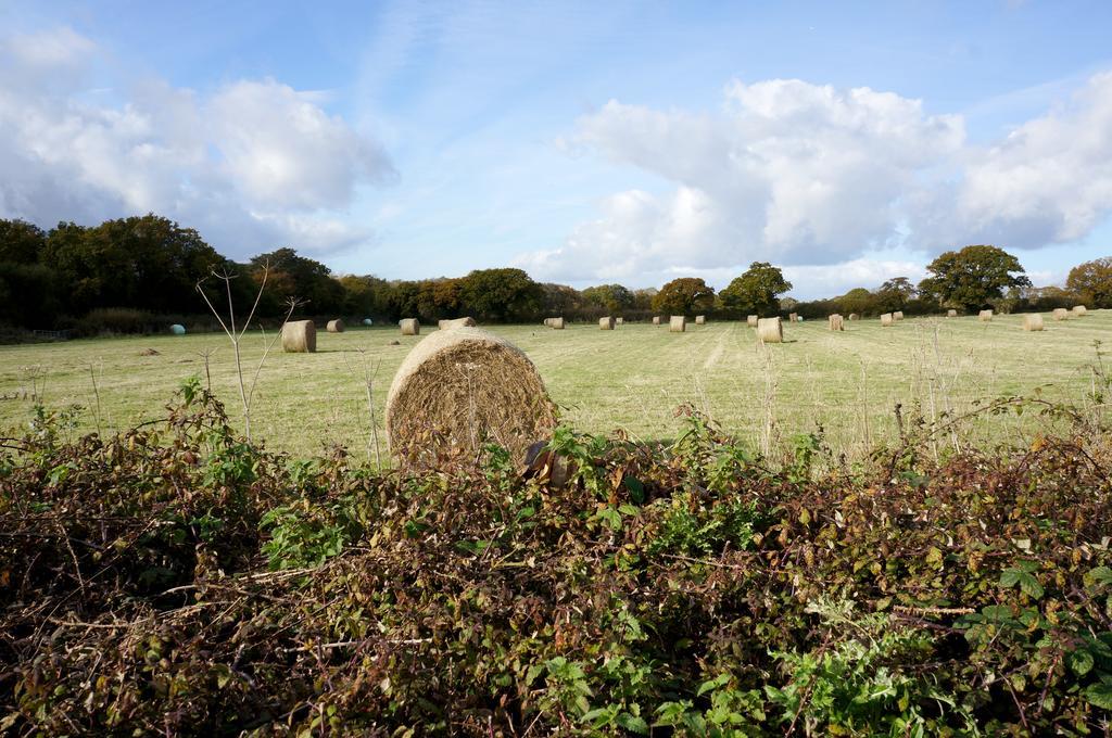 Leyland Country House Lymington Esterno foto