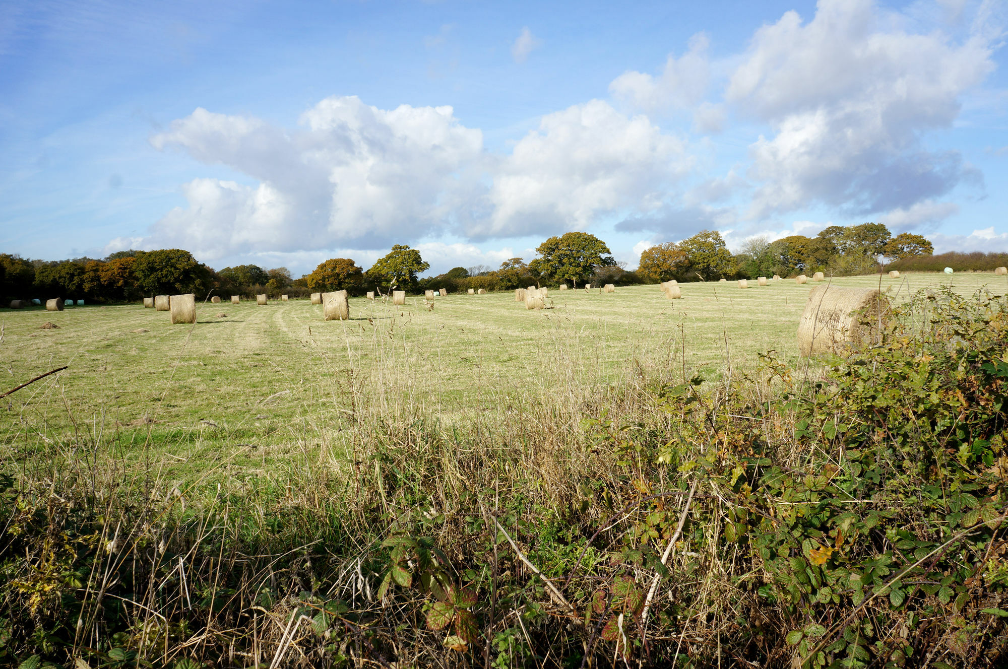 Leyland Country House Lymington Esterno foto